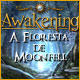 Download Awakening: A Floresta de Moonfell game