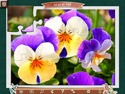 1001 Jigsaw: Chroniken der Erde 3 screenshot
