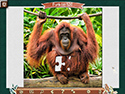 1001 Jigsaw-Chroniken der Erde 6 screenshot