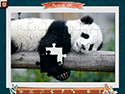 1001 Jigsaw: Chroniken der Erde 8 screenshot
