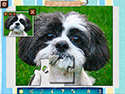 1001 Jigsaw: Chroniken der Erde screenshot
