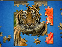 Jigs@w Puzzle 2 screenshot
