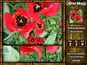 Mirror Mixup screenshot