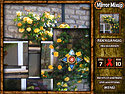 Mirror Mixup screenshot