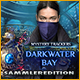 Download Mystery Trackers: Darkwater Bay Sammleredition game
