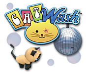 Download Cat Wash game