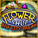 Download Flower Shop - Big City Break game