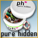 Download Pure Hidden game