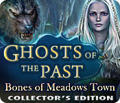 Download Ghosts of the Past: Bones of Meadows Town Collector's Edition game