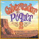 Download Gobernador del Póquer 2 game