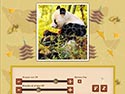 1001 Puzzles du Monde - Asie screenshot