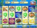 Dolphin Dice Slots screenshot