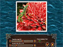 Puzzle Pirate screenshot