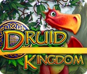 Download ドルイド キングダム game