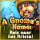 Download A Gnome's Home: Reis naar het Kristal game