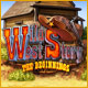 Download Wild West Story: The Beginnings game