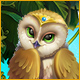 Download Wildlife Match game