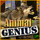 Download Animal Genius game