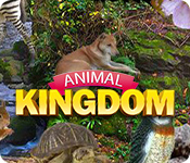 Download Animal Kingdom game