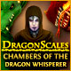 Download DragonScales: Chambers of the Dragon Whisperer game