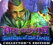 Download Dreampath: Guardian of the Forest Collector's Edition game