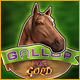 Download Gallop for Gold game