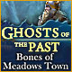 Download Ghosts of the Past: Bones of Meadows Town game