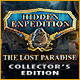 Download Hidden Expedition: The Lost Paradise Collector's Edition game