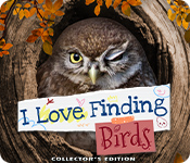 Download I Love Finding Birds Collector's Edition game