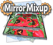 Download Mirror Mixup game