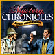 Download Mystery Chronicles: Murder Among Friends game