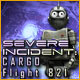 Download Severe Incident: Cargo Flight 821 game