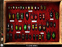 Treasure Island: The Golden Bug screenshot