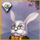 Download White Rabbit's Wonderland: Way Back Home Collector's Edition game