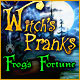 Download Witch's Pranks: Frog's Fortune game