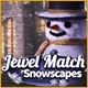 Download Jewel Match: Snowscapes game