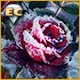 Download Living Legends Remastered: La Rose de Glace Édition Collector game