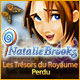 Download Natalie Brooks: Les Trésors du Royaume Perdu game
