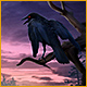 Download Paranormal Files: La Légende de Hook Man game