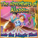 Download The Adventures of Aladdin and the Magic Skull game