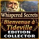 Download Whispered Secrets: Bienvenue à Tideville Edition Collector game