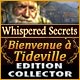 Download Whispered Secrets: Bienvenue à Tideville Edition Collector game