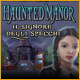 Download Haunted Manor: Il Signore degli specchi game