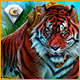 Download Labyrinths of the World: The Wild Side Collector's Edition game